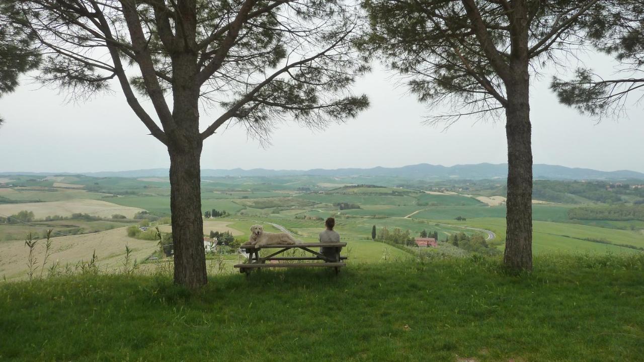 Ciglieri Santermo Casciana Terme Lari Pet&Bike Friendly Free Parkアパートメント エクステリア 写真