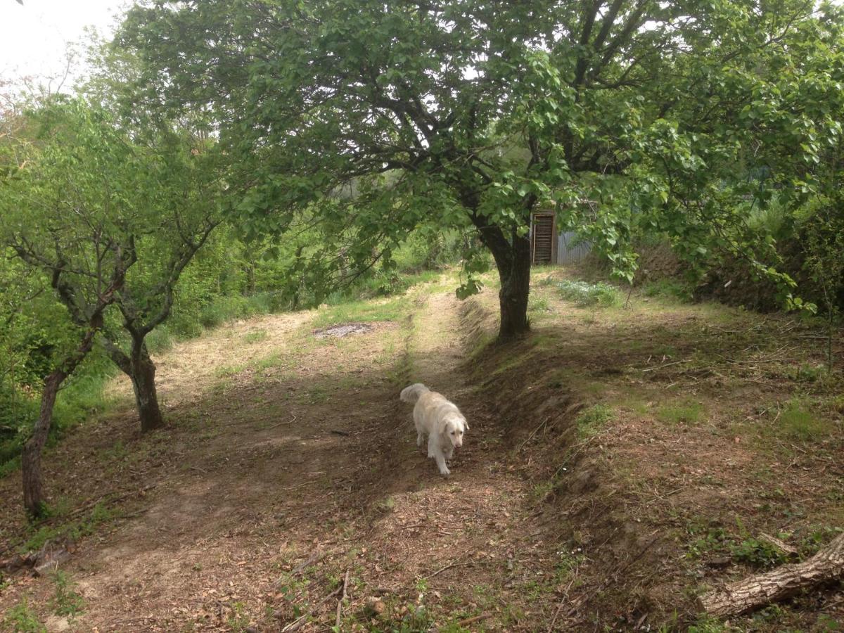 Ciglieri Santermo Casciana Terme Lari Pet&Bike Friendly Free Parkアパートメント エクステリア 写真