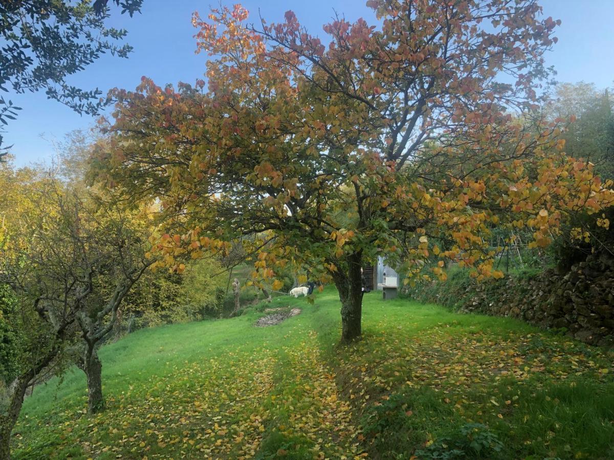 Ciglieri Santermo Casciana Terme Lari Pet&Bike Friendly Free Parkアパートメント エクステリア 写真