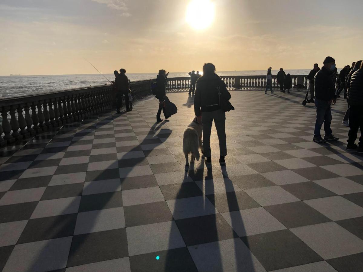 Ciglieri Santermo Casciana Terme Lari Pet&Bike Friendly Free Parkアパートメント エクステリア 写真
