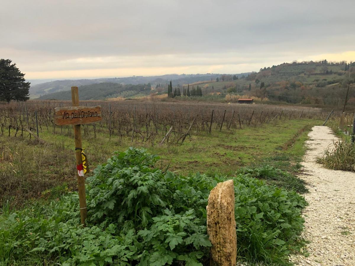 Ciglieri Santermo Casciana Terme Lari Pet&Bike Friendly Free Parkアパートメント エクステリア 写真