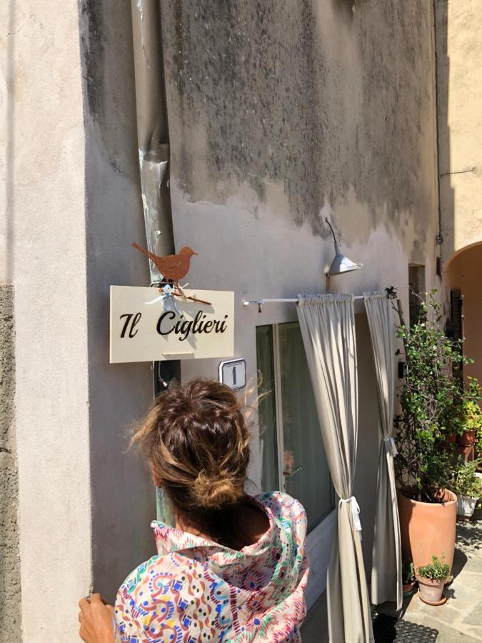 Ciglieri Santermo Casciana Terme Lari Pet&Bike Friendly Free Parkアパートメント エクステリア 写真